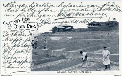 Costa Rica San Jose Drying Coffee