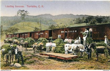 Costa Rica Turrialba Loading Bananas to Train