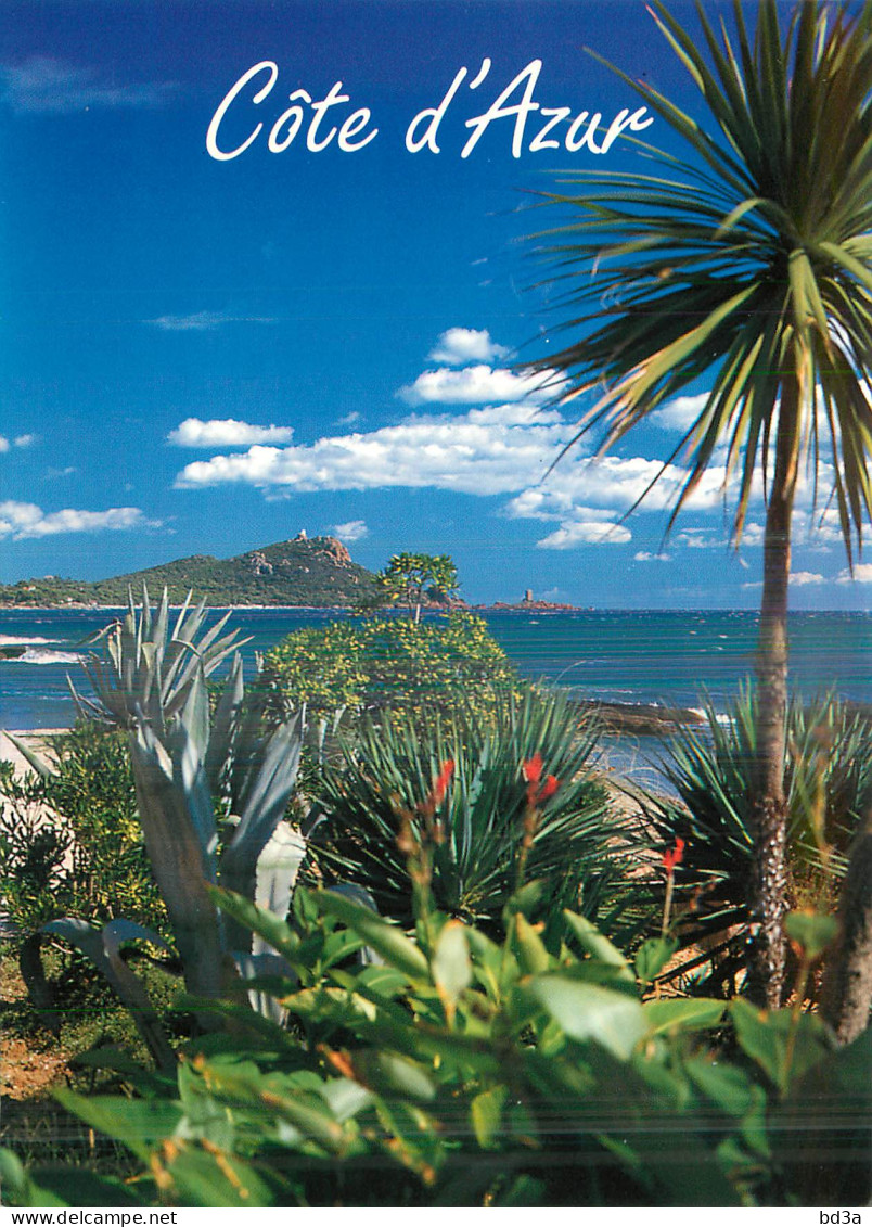 COTE D'AZUR - PAYSAGE
