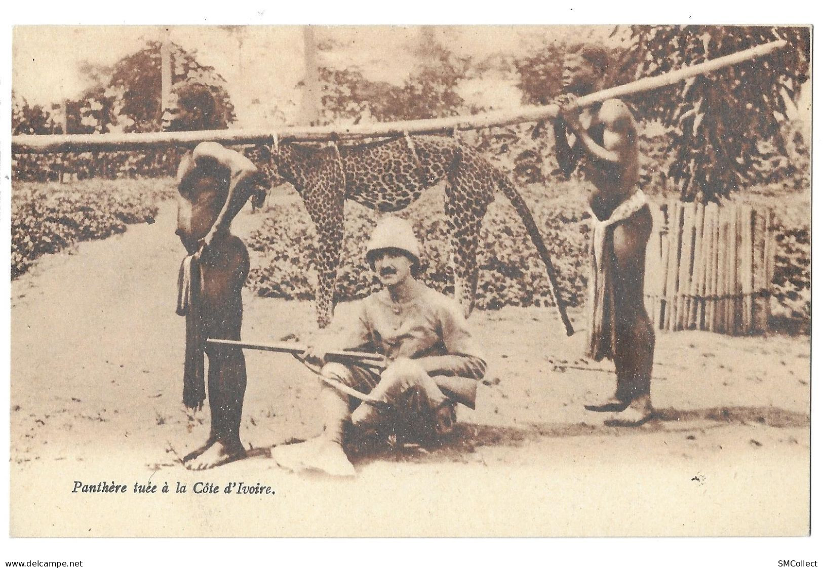 Côte d'Ivoire. Panthère tuée  (A16p7)