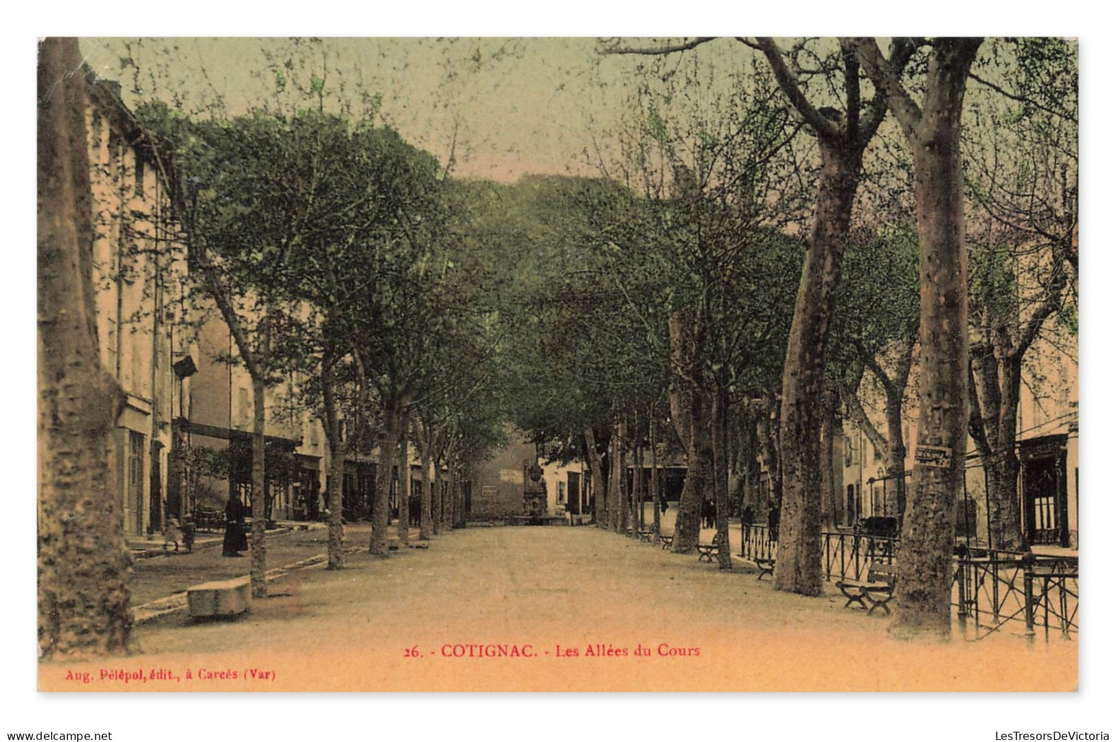 Cotignac – Les Allées du Cours, CPA, France