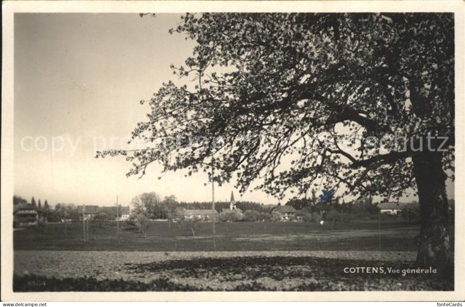 Cottens VD Vue generale