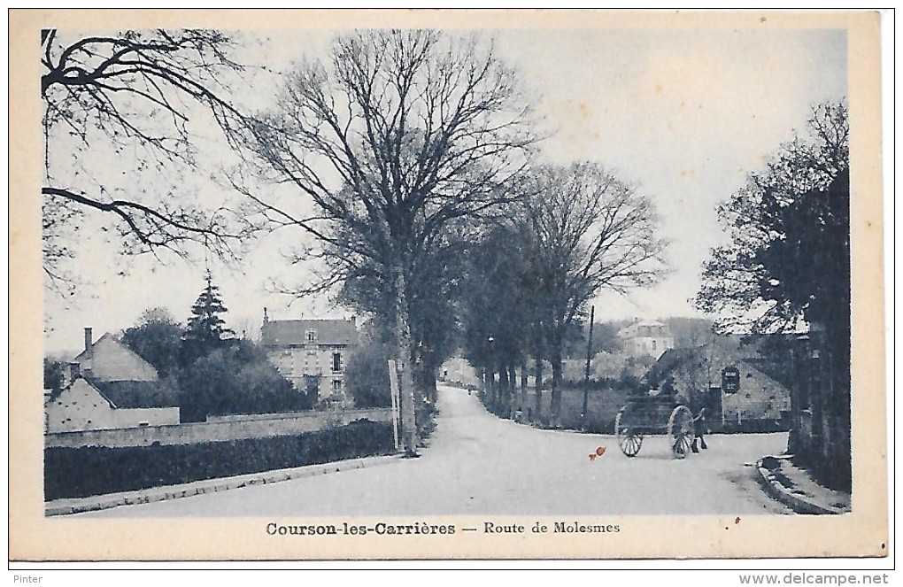 COURSON LES CARRIERES - Route de Molesmes