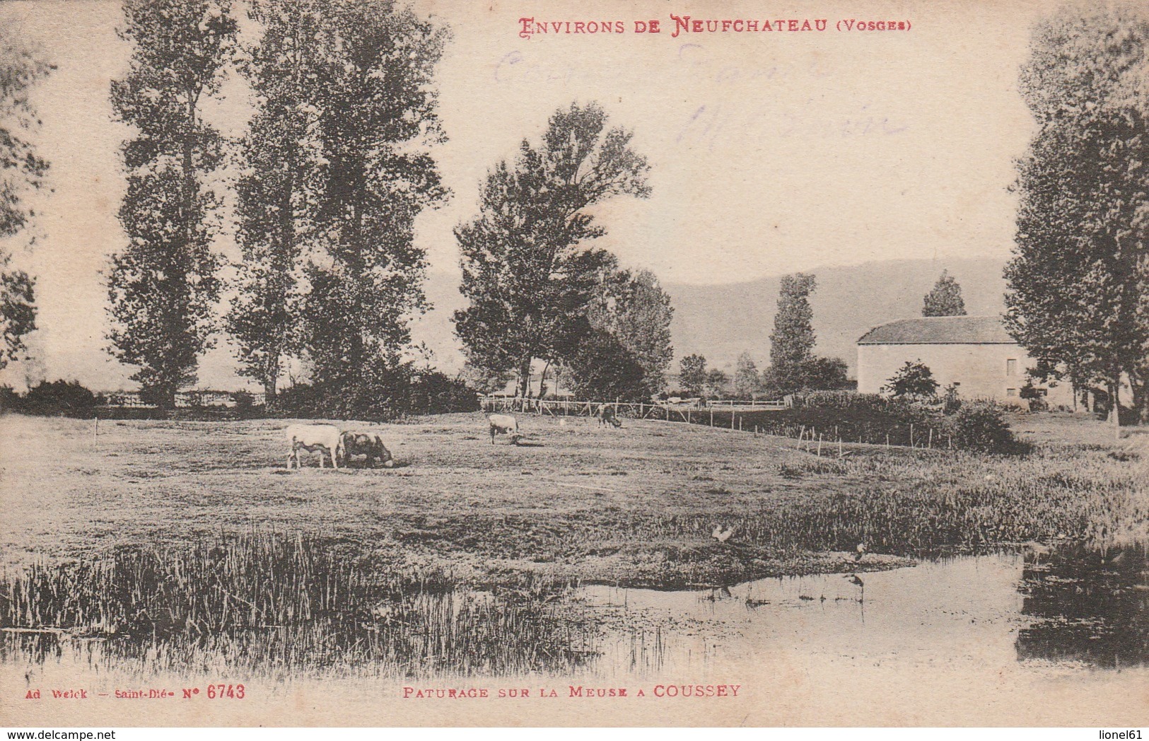 COUSSEY : (88) Pâturage sur la Meuse à Coussey