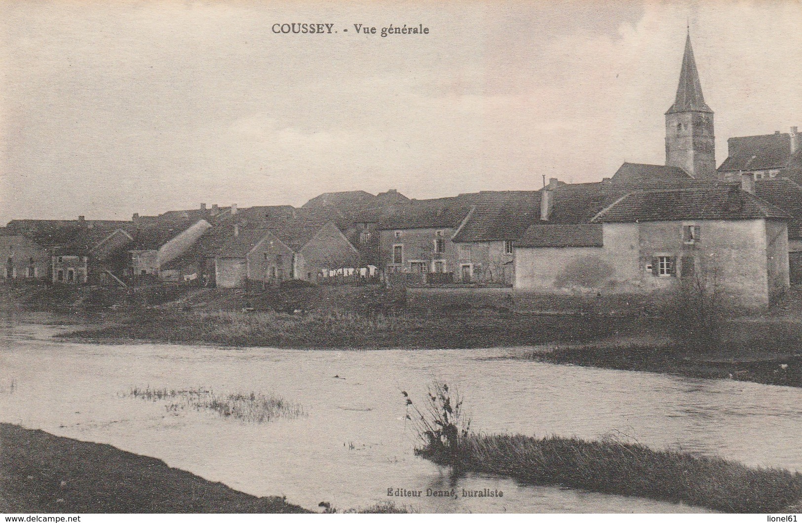 COUSSEY : (88) Vue générale