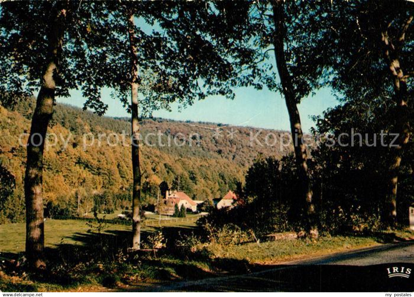 Couvin Vallee des Forges de Pernelle