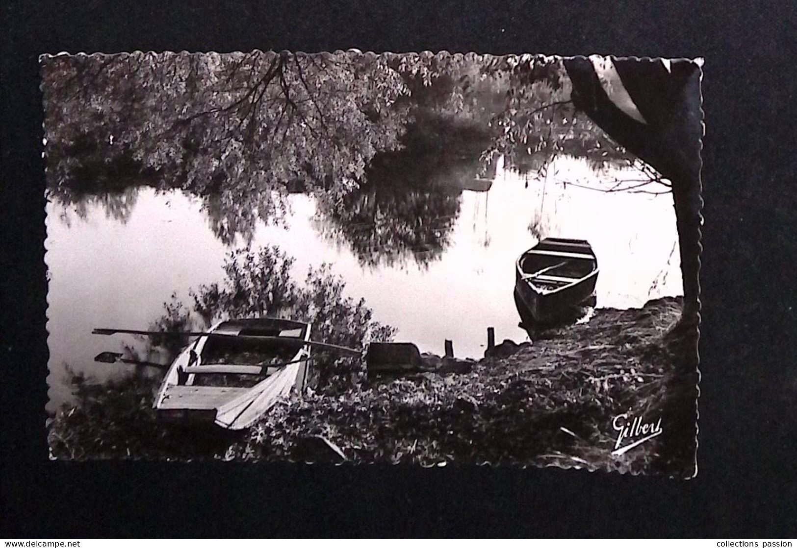 cp, 16, Châteauneuf, les bords de la Charente, vierge, ed. charentaises d'Art A. Gilbert, n° 59