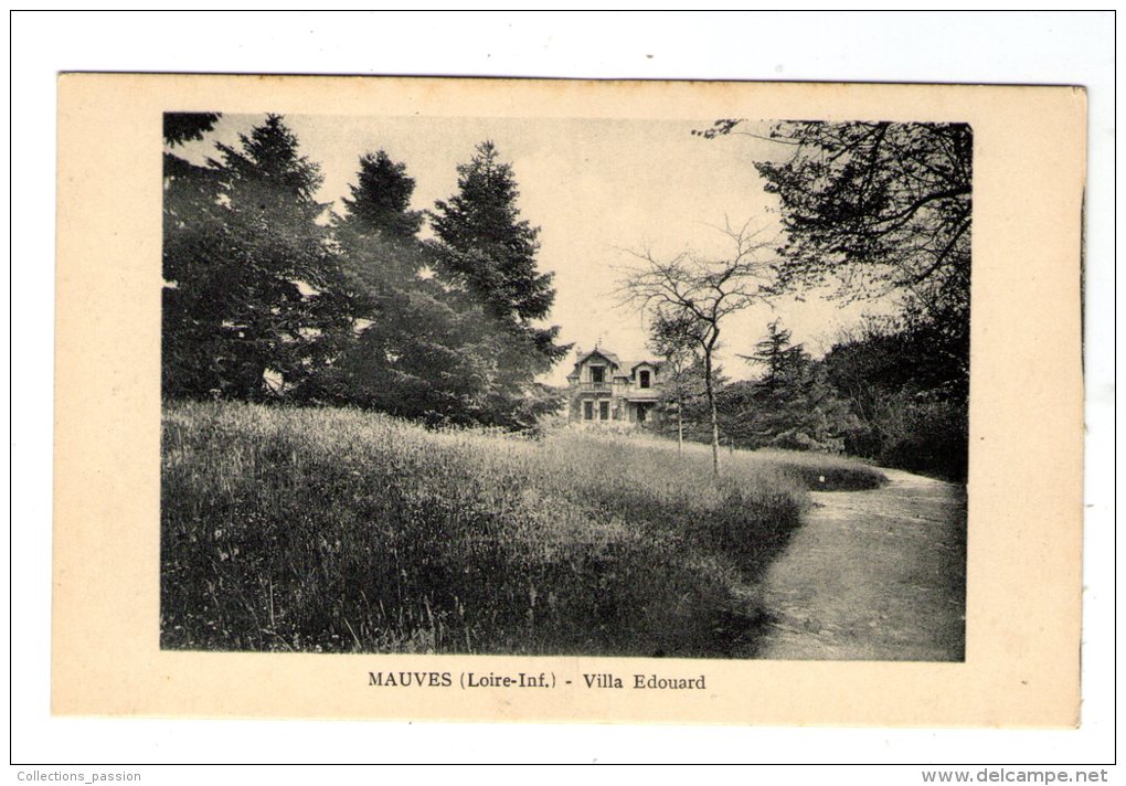 cp , 44 , MAUVES SUR LOIRE , villa EDOUARD , vierge , pas d´éditeur