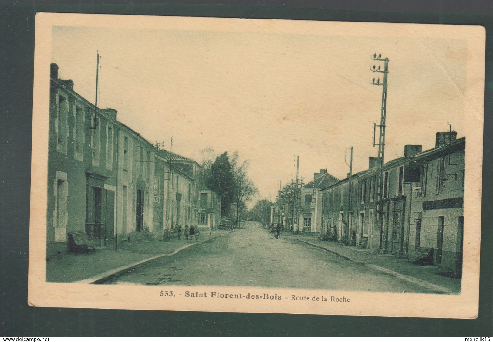 CP - 85 - Saint-Florent-des-Bois - Route de la Roche - tirage vert