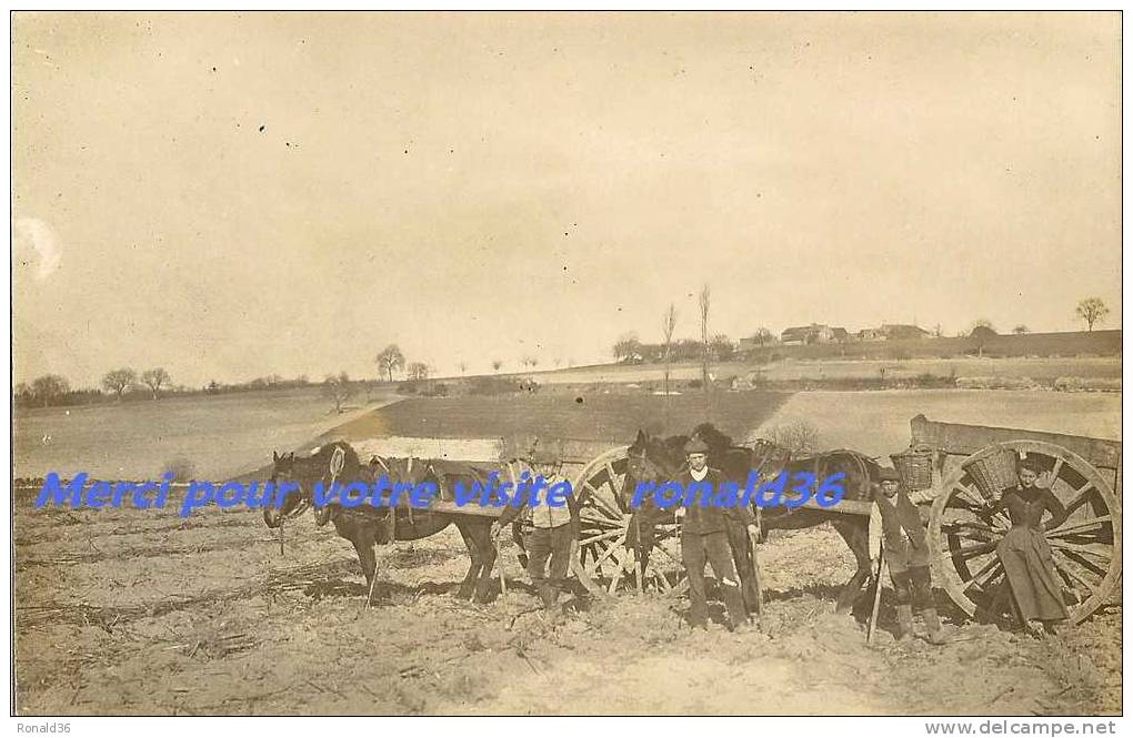 cp  86  env DANGE SAINT ROMAIN ferme : scène agricole   attelage de chevaux  ( H GAUTIER bijoutier  photographe  )