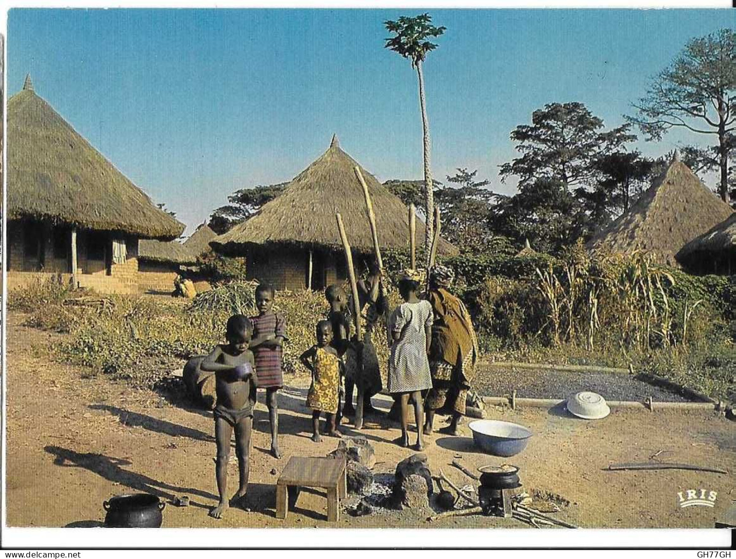 CP "AFRIQUE EN COULEURS"