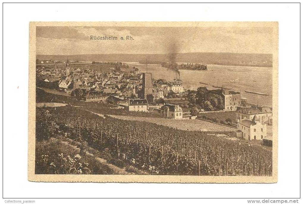 cp, Allemangne, Rüdesheim a. Rh., écrite 1919