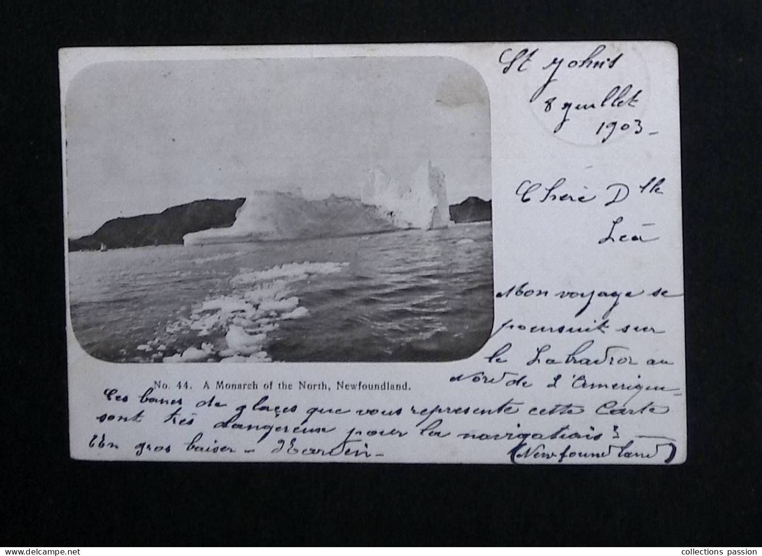 cp, Canada, Terre Neuve & Labrador, a Monarch of the North, Newfoundland, voir timbre et oblitération, dos simple, 1903