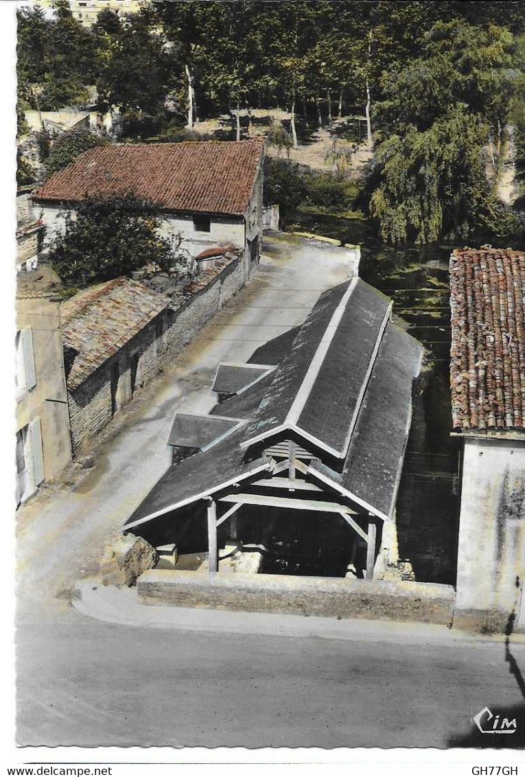 CP CHEF-BOUTONNE -lavoir