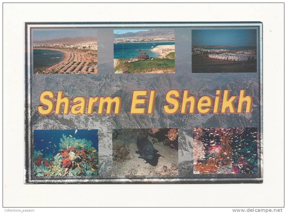 cp, Egypte, Sharm El Sheikh, Multi-Vues, voyagée 2001 (non oblitérée)