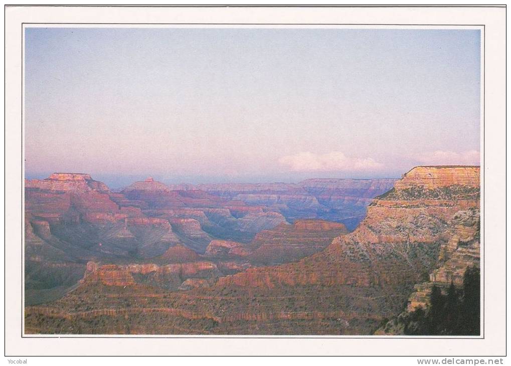 cp , ETATS-UNIS , ARIZONA , Le Grand Canyon