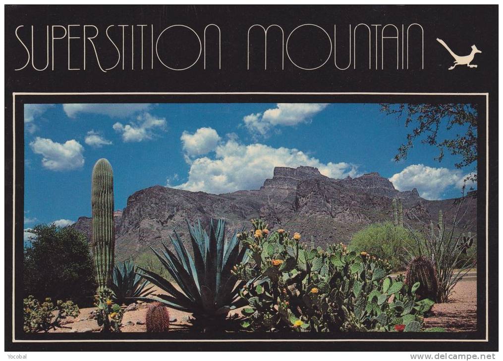 cp , ETATS-UNIS ,  PHOENIX , View of Superstition Mountain