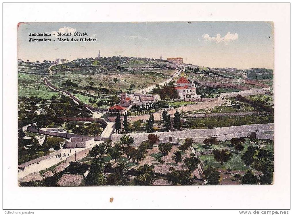 cp , ISRAEL , JERUSALEM , MONT DES OLIVIERS , écrite 1926 , colorisée