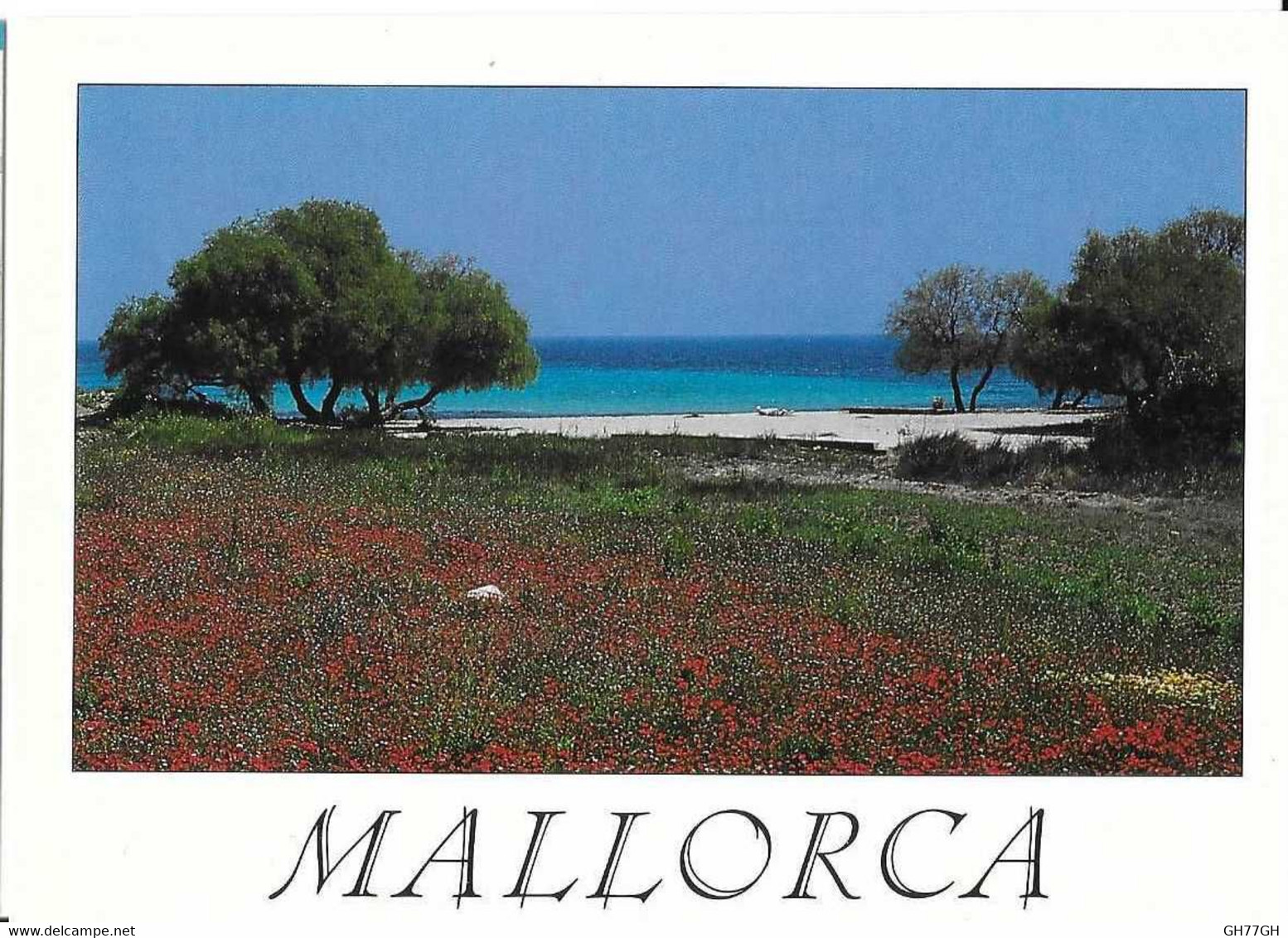 CP MALLORCA