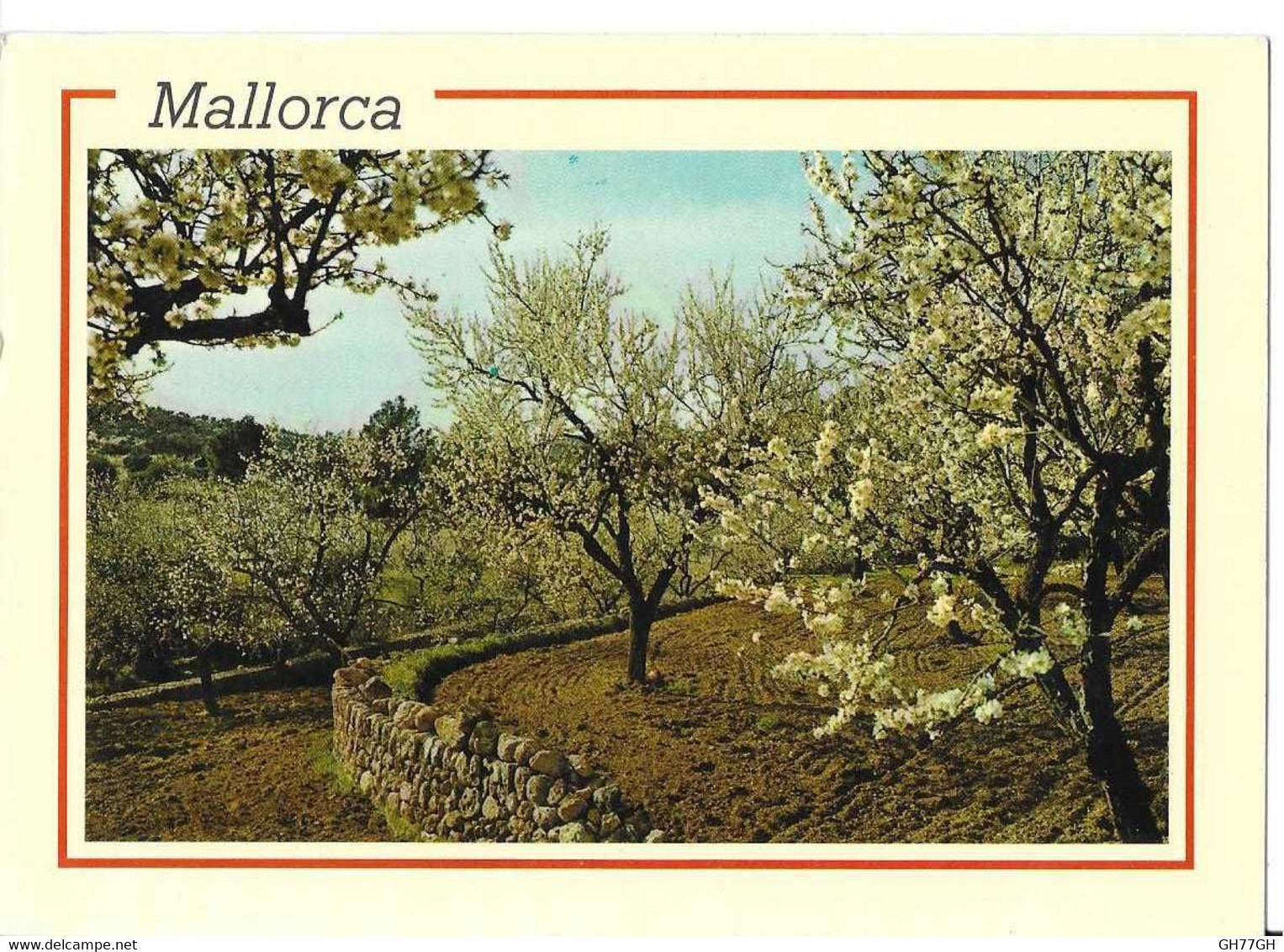 CP MALLORCA