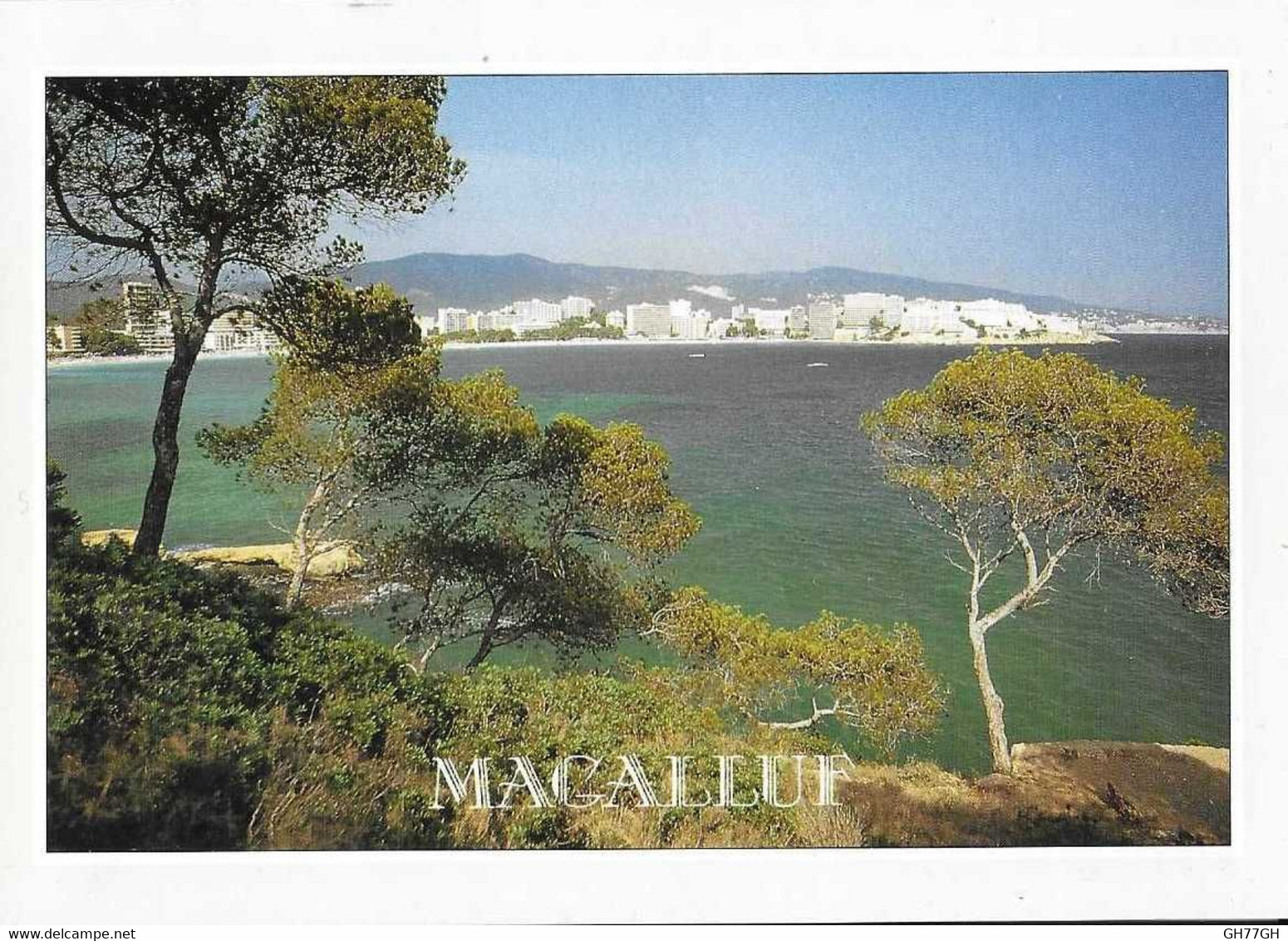 CP MALLORCA MAGALLUF