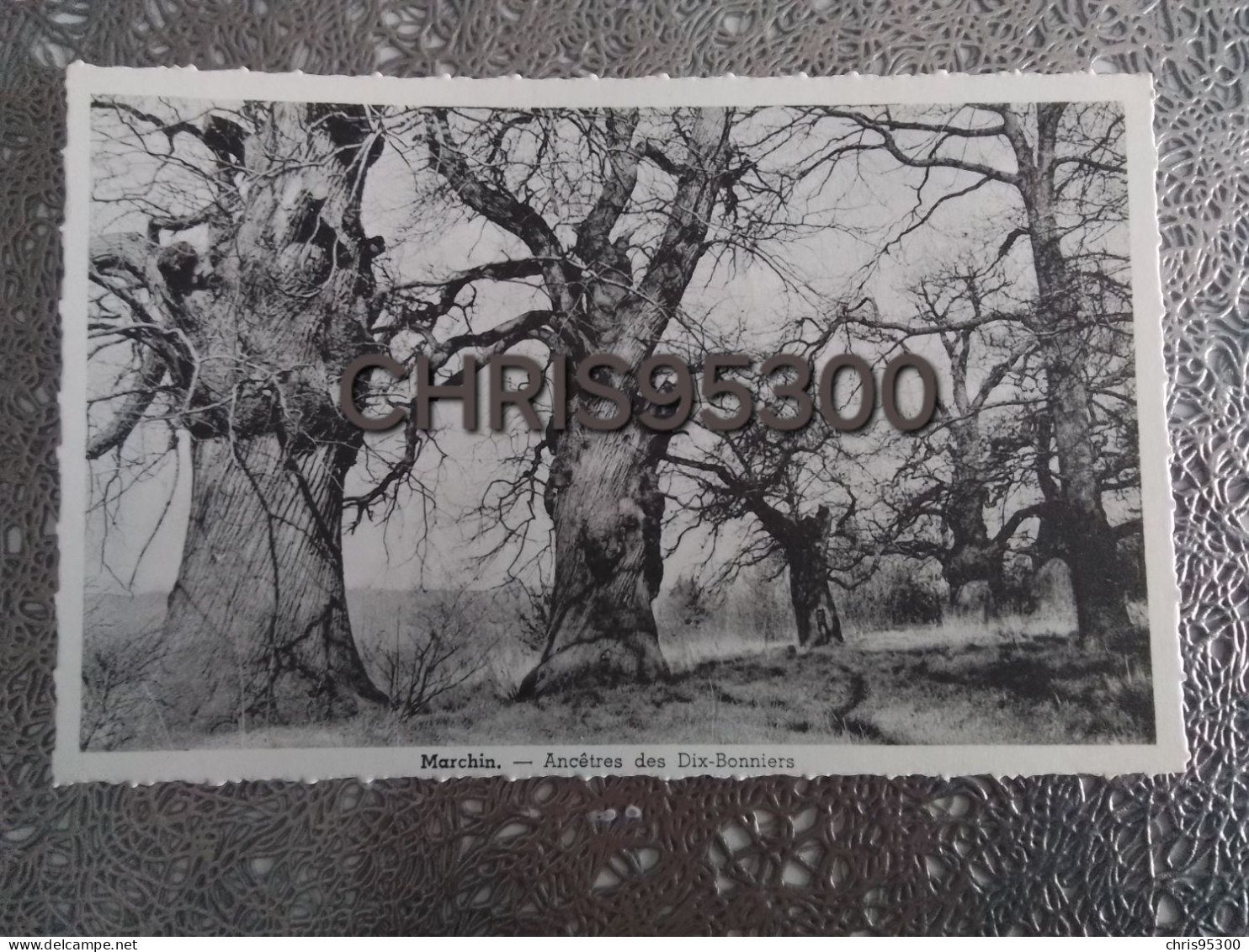 CP - MARCHIN - ANCETRES DES DIX BONNIERS - BELGIQUE