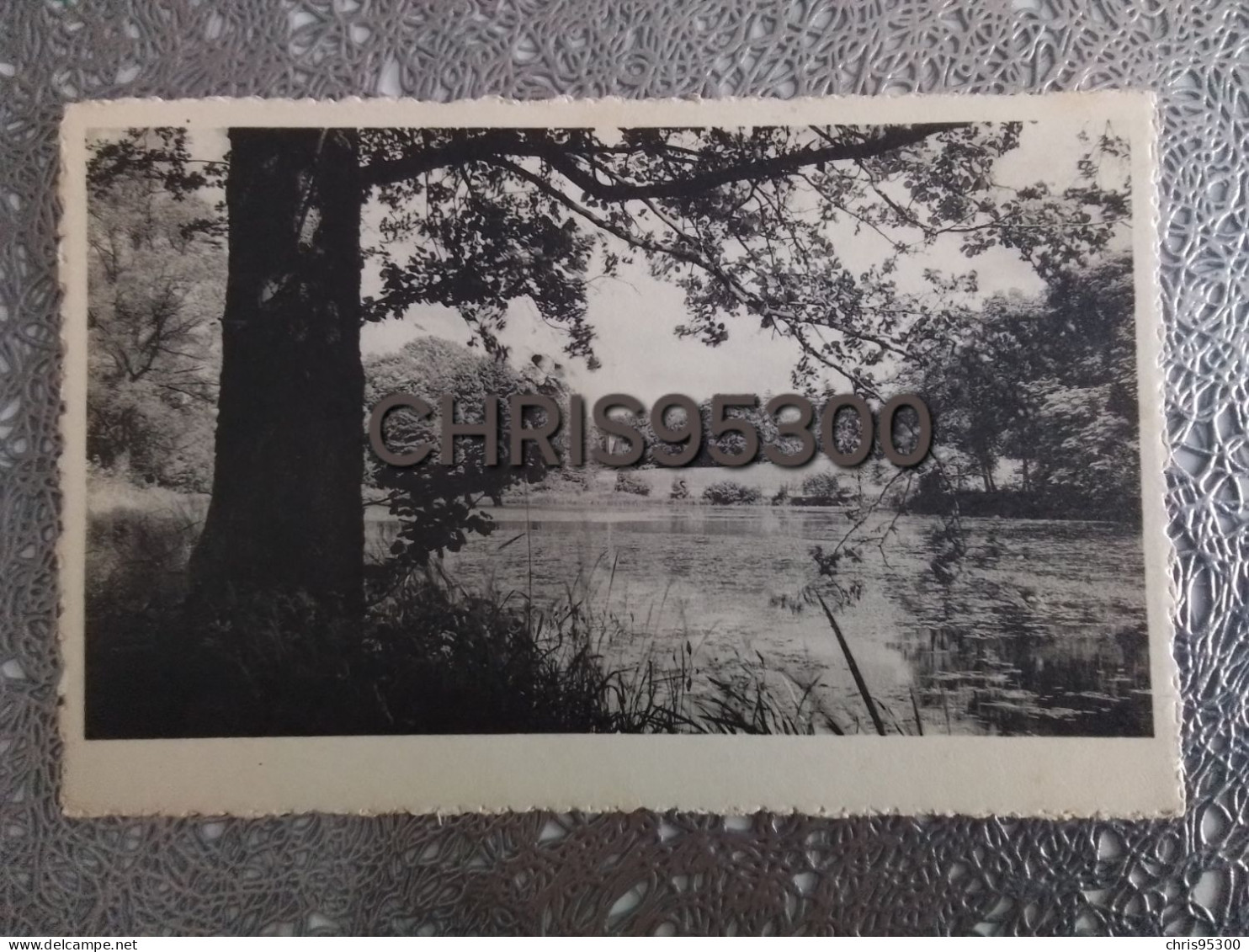 CP - MARCHIN - BELLE MAISON - L’ETANG DU PARC - BELGIQUE