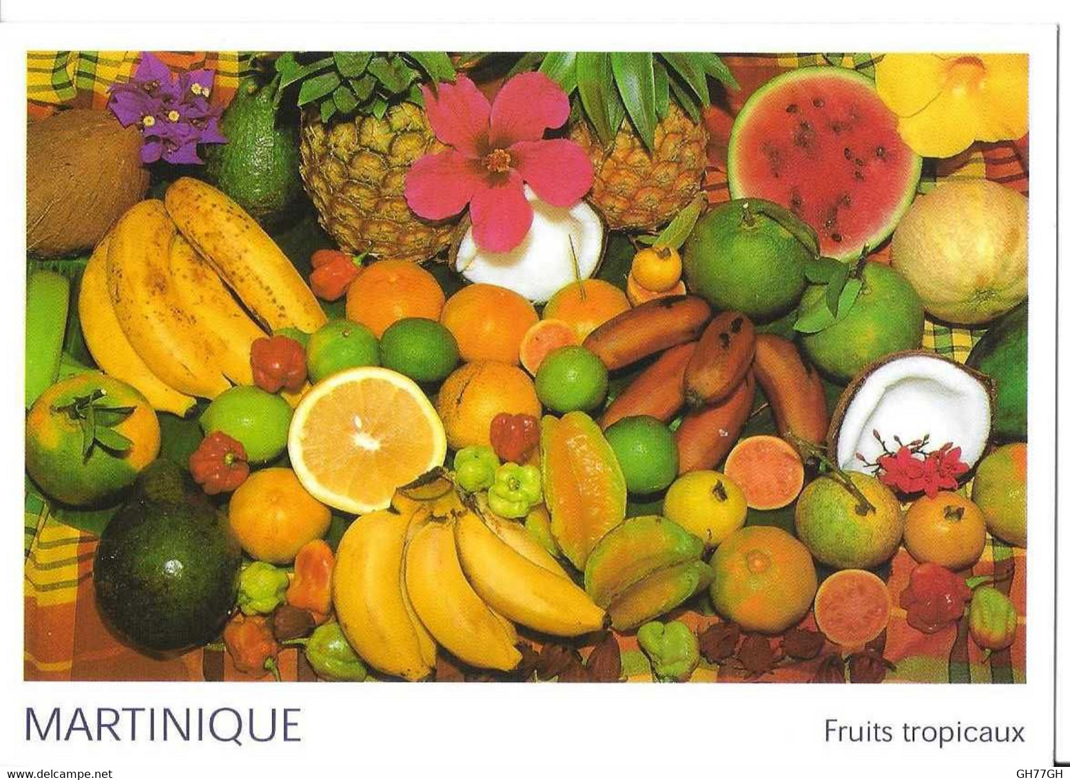 CP MARTINIQUE -fruits tropicaux