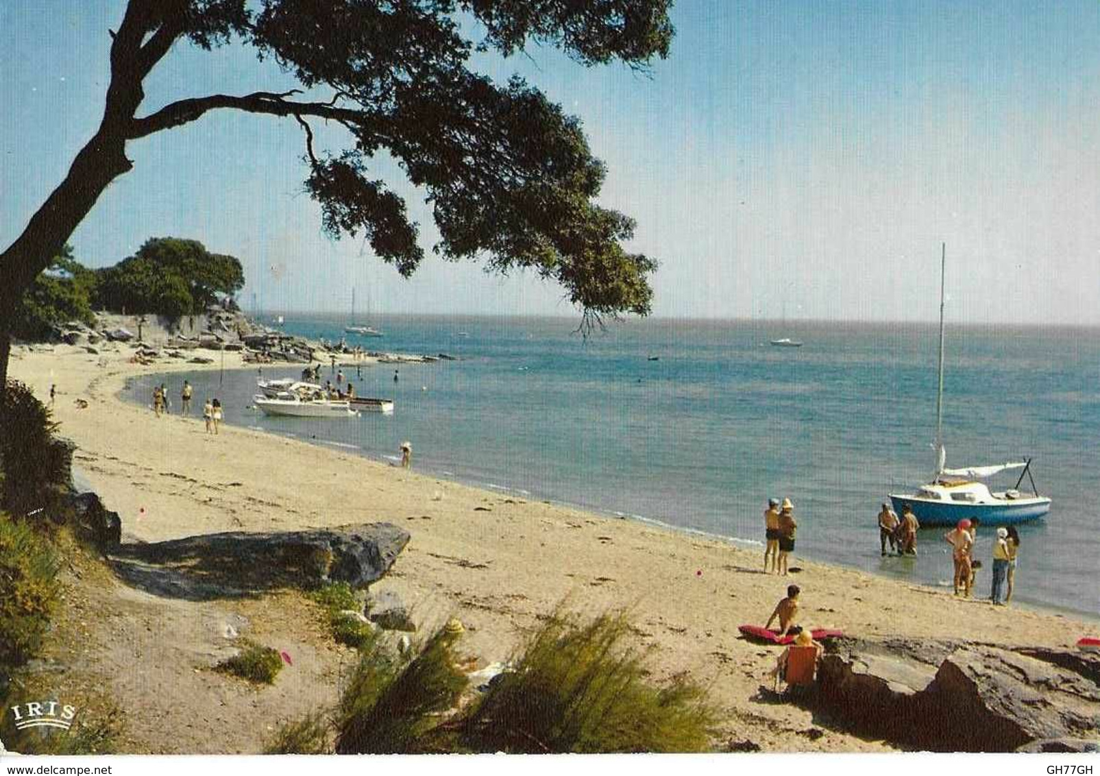CP NOIRMOUTIER