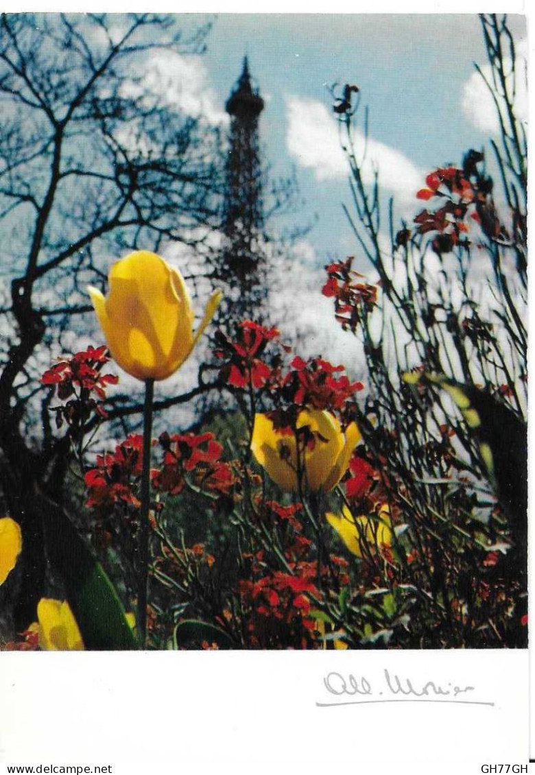 CP PARIS -DANS LES JARDINS DE CHAILLOT -par Albert Monier -non circulée