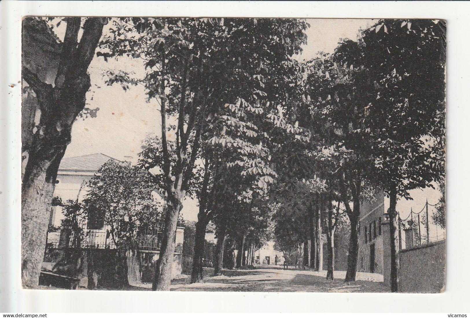 CP SLOVENIE MONTESPINO DORNBERG