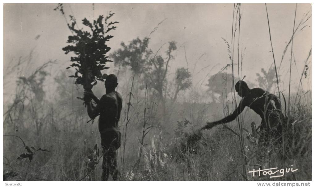 ( CP SM PF AFRIQUE )  TCHAD  /  Feu de Brousse  -