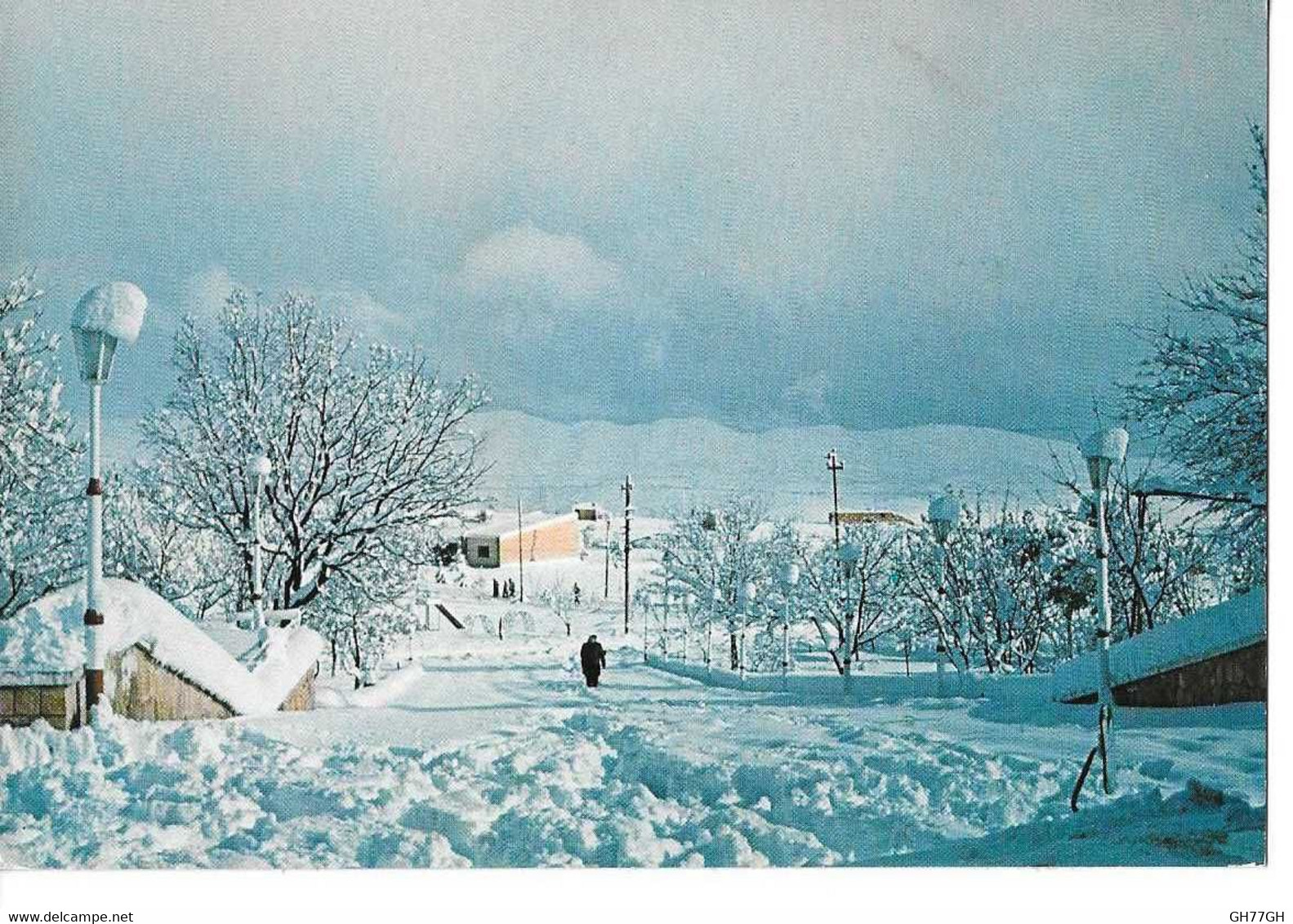 CP "snow in the north salahedin arbil" -IRAQ/IRAK