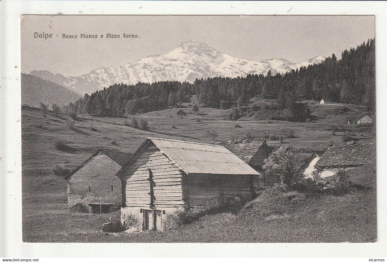 CP SUISSE DALPE Bosco Pianez e Pizzo Forno