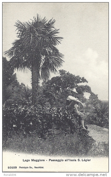 cp SUISSE LAGO MAGGIORE PAESAGGIO ALL'ISOLA S LEGIER   ( jardinier  )