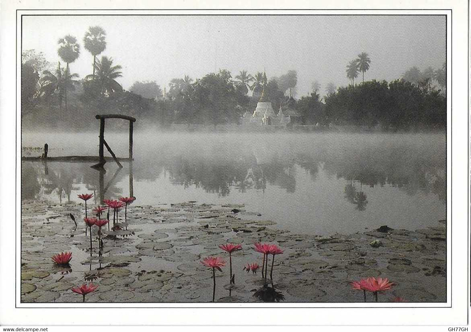 CP THAILANDE -view of chiang mai