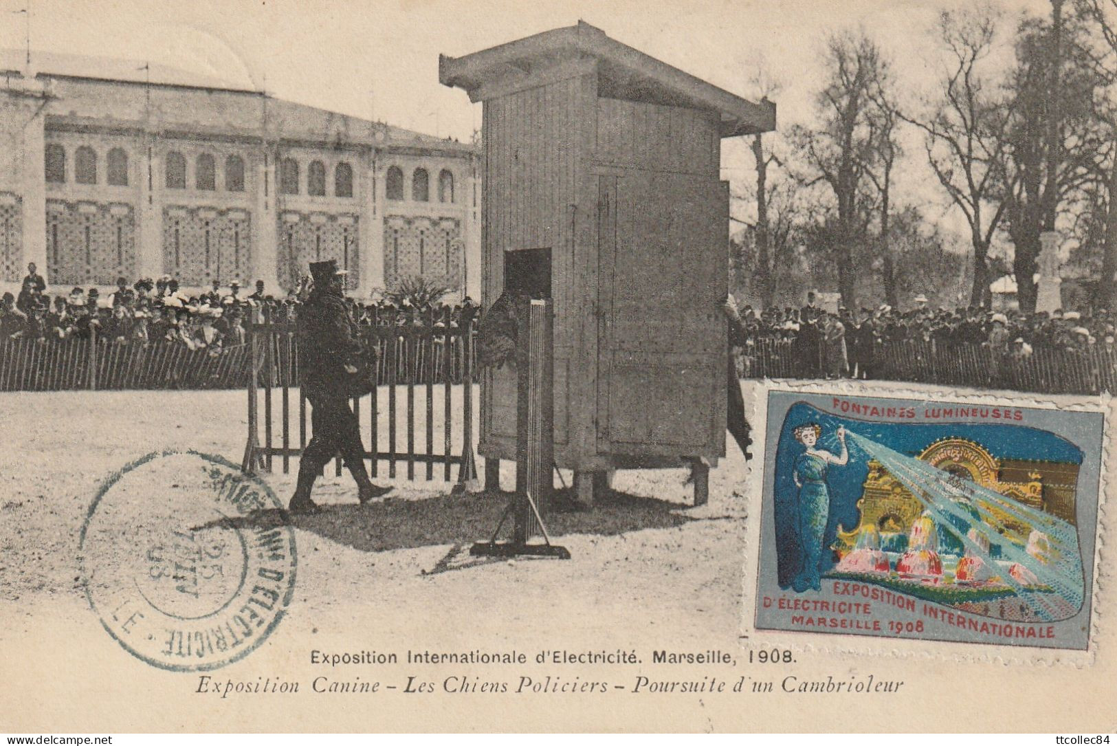 CPA-13-MARSEILLE-Exposition internationale d'électricité 1908-Exposition canine-Les chiens policiers-Poursuite...