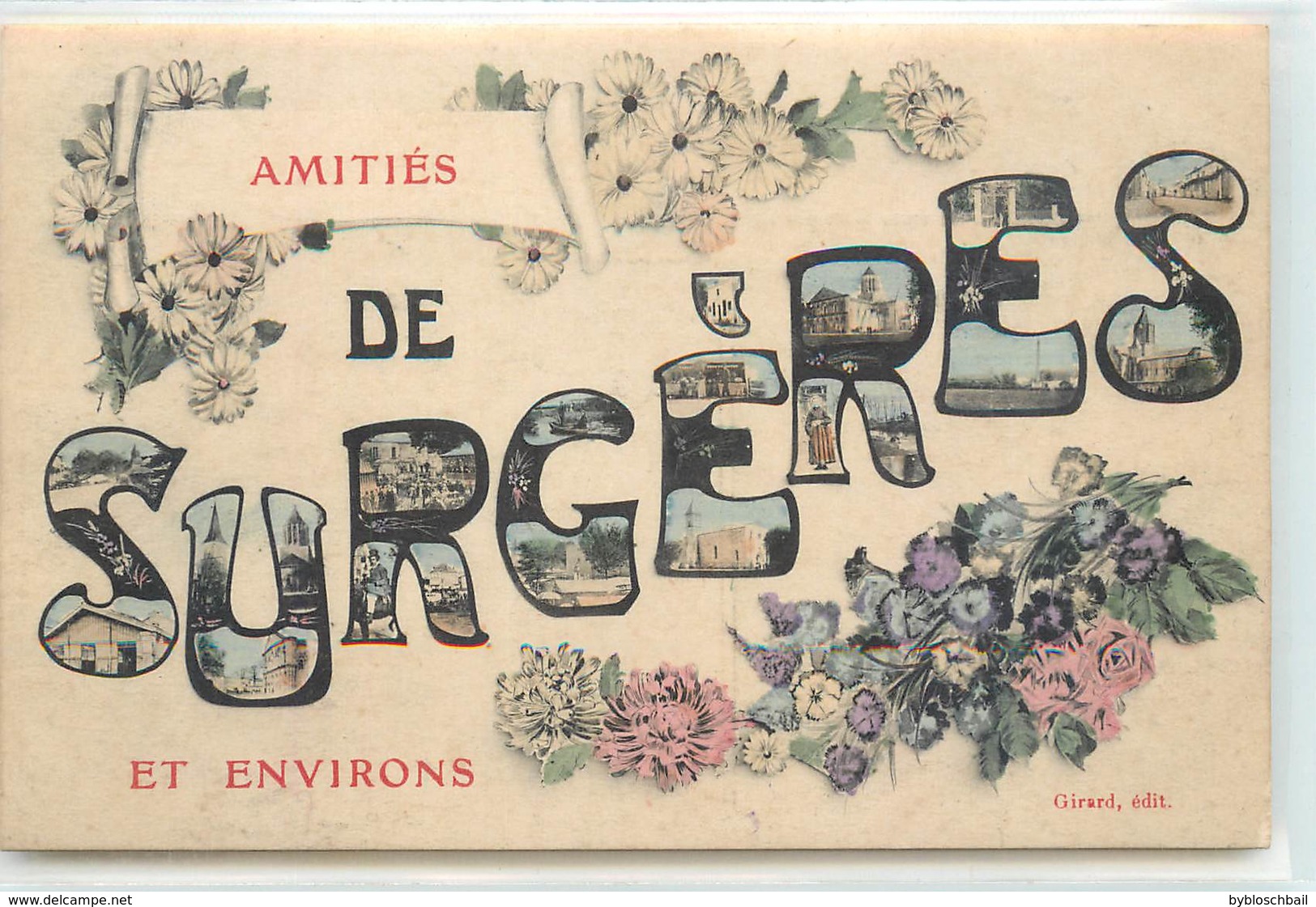 CPA 17 Charente Maritime Surgères Amitiés de Surgères et Environs Multivue Multivues