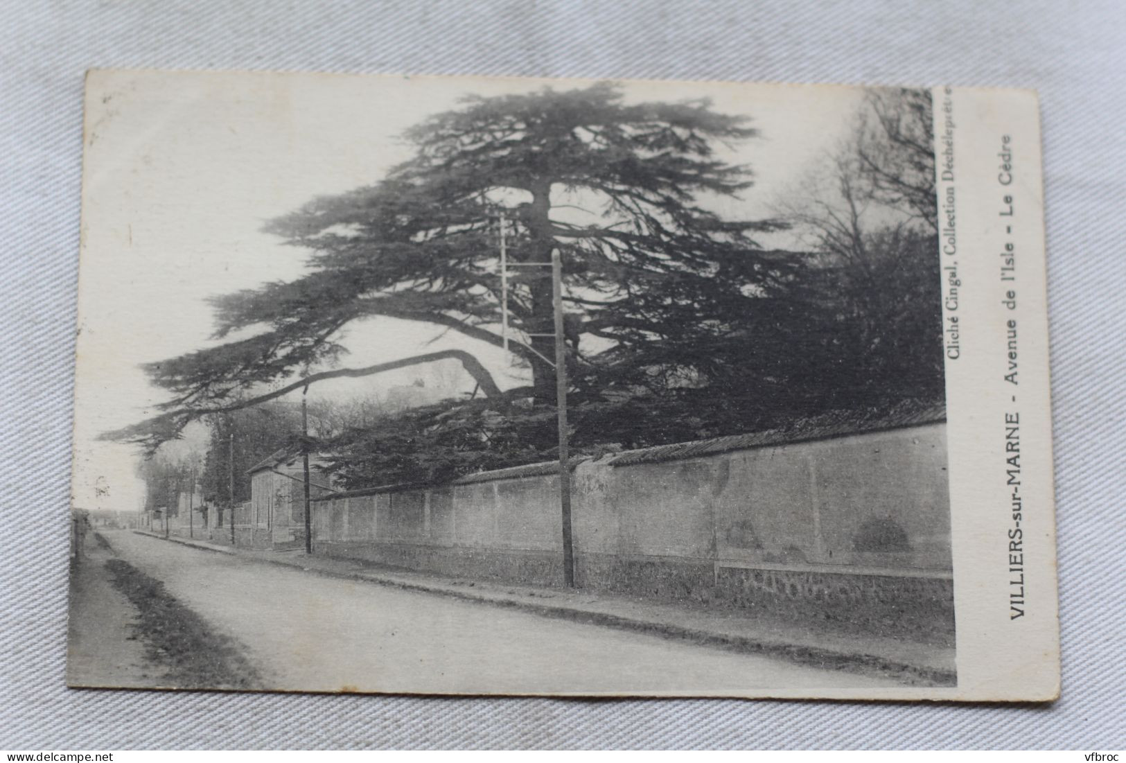 Cpa 1927, Villiers sur Marne, avenue de l'Isle, le Cèdre, Val de Marne 94