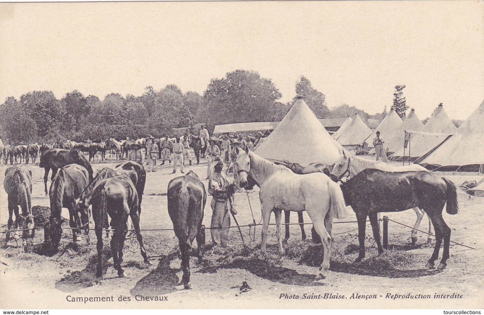 CPA 61 @ ALENCON - Campement des Chevaux - Militaires, tentes.