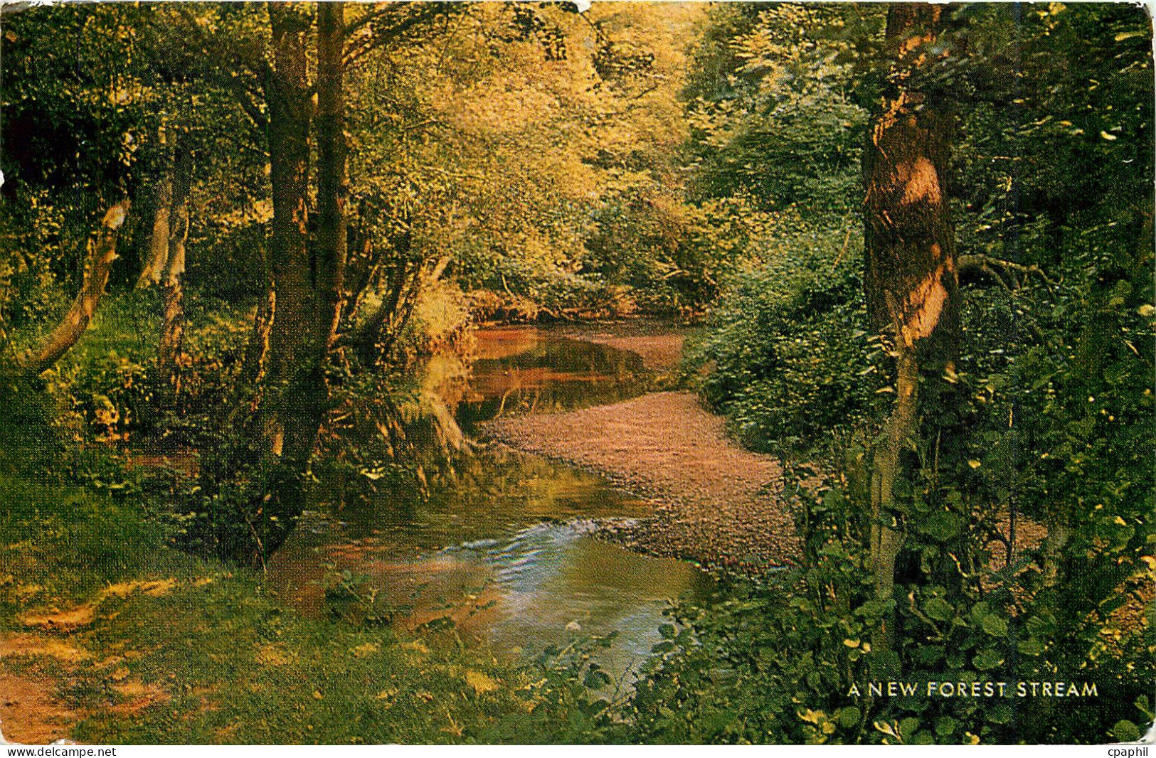 CPA A NEW FOREST STREAM