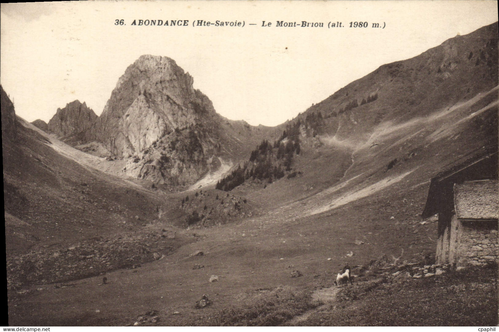 CPA Abondance Le Mont Briou
