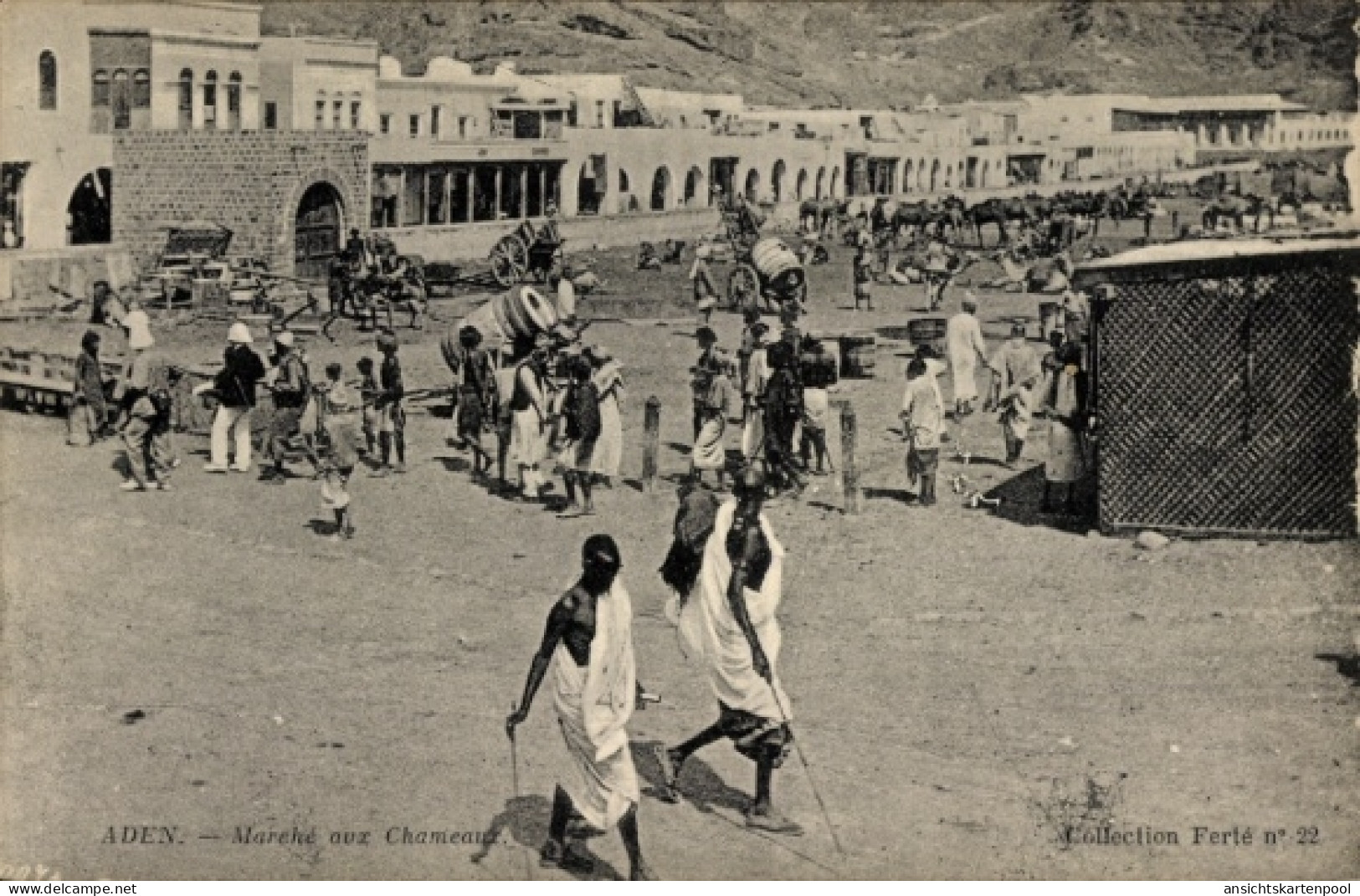 CPA Aden Jemen, Kamelmarkt