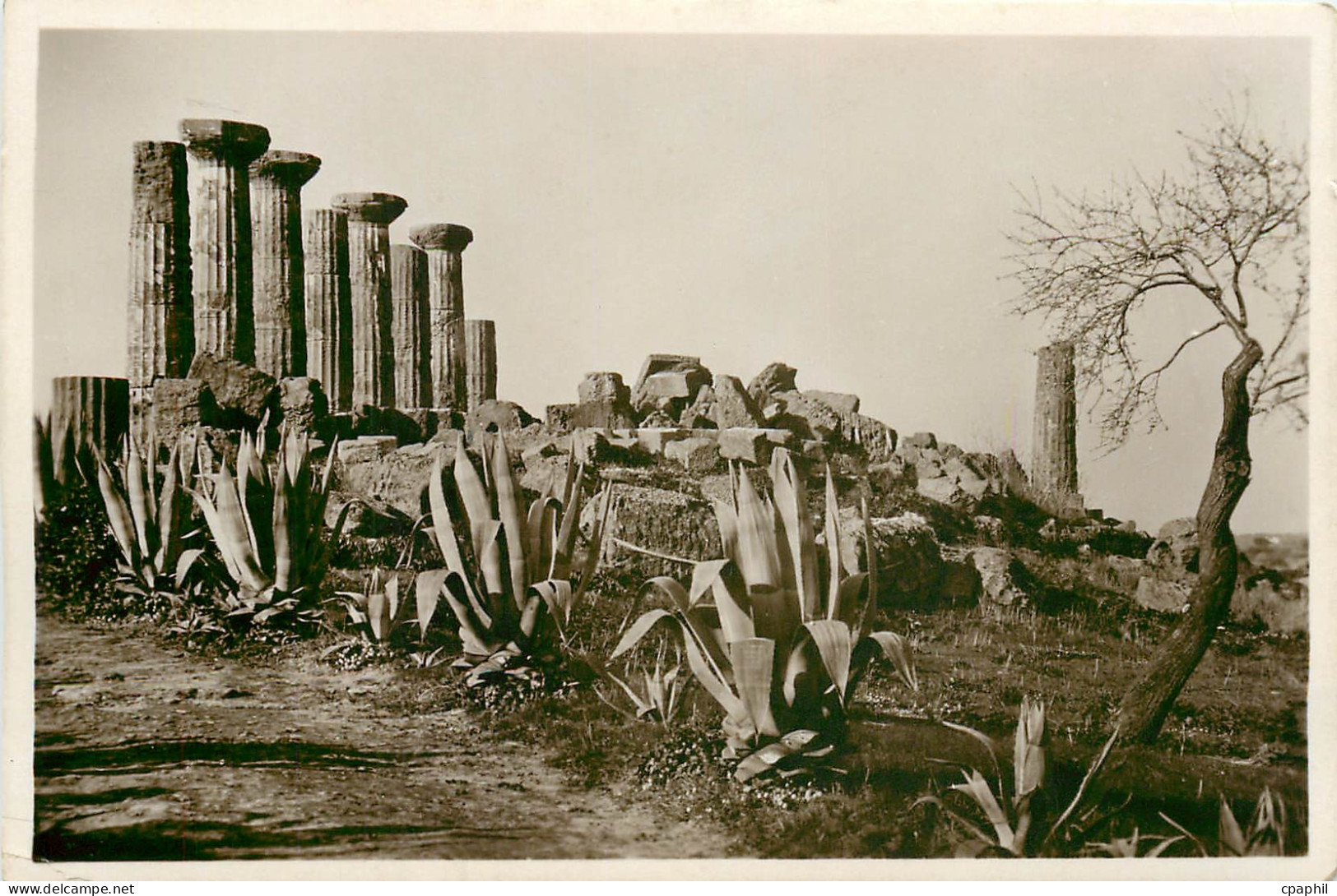 CPA Agrigento Temple des Herakles