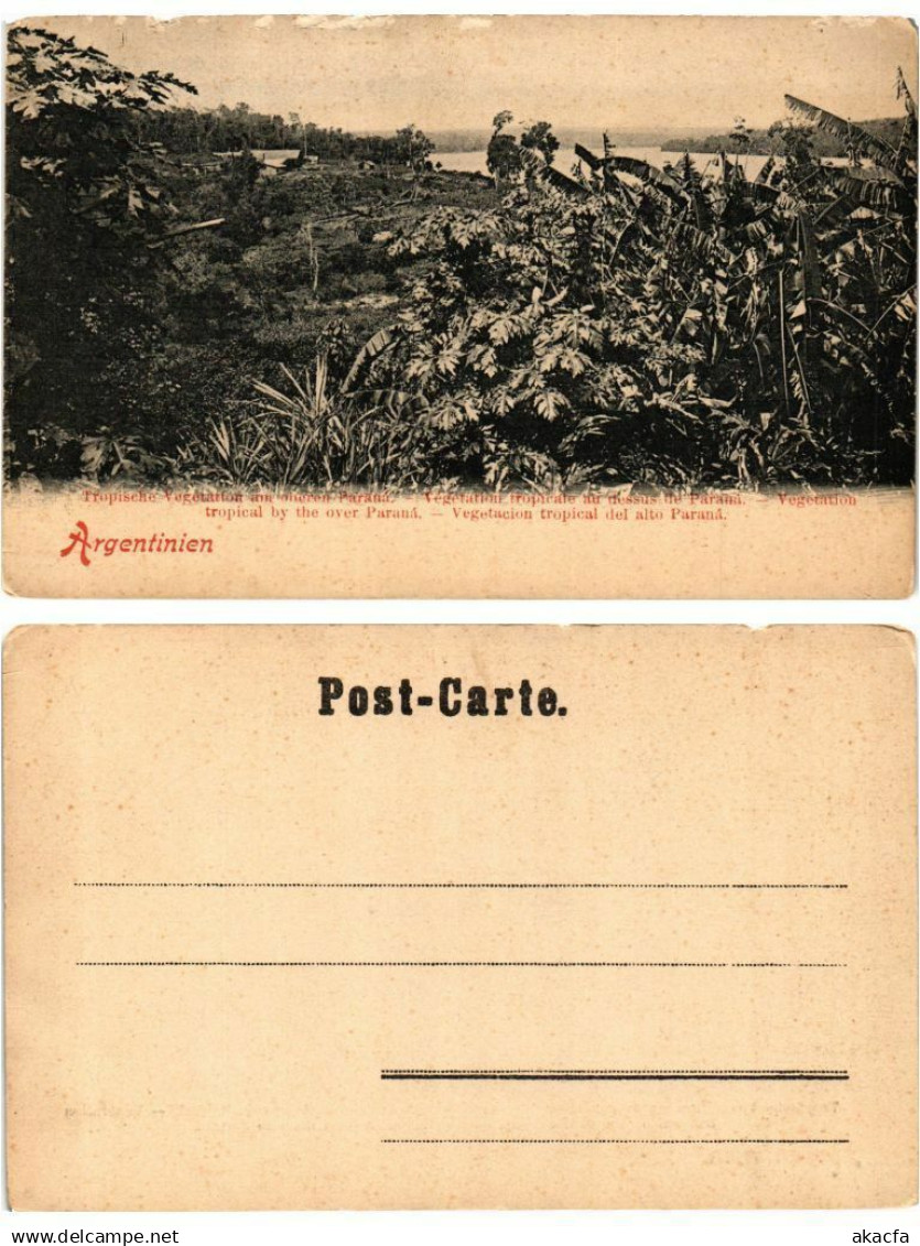 CPA AK ARGENTINA - Argentinien-Tropische Vegetation am oberen Parana (420143)