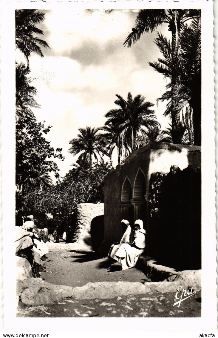 CPA AK GHARDAIA Dans l'Oasis ALGERIA (1388788)