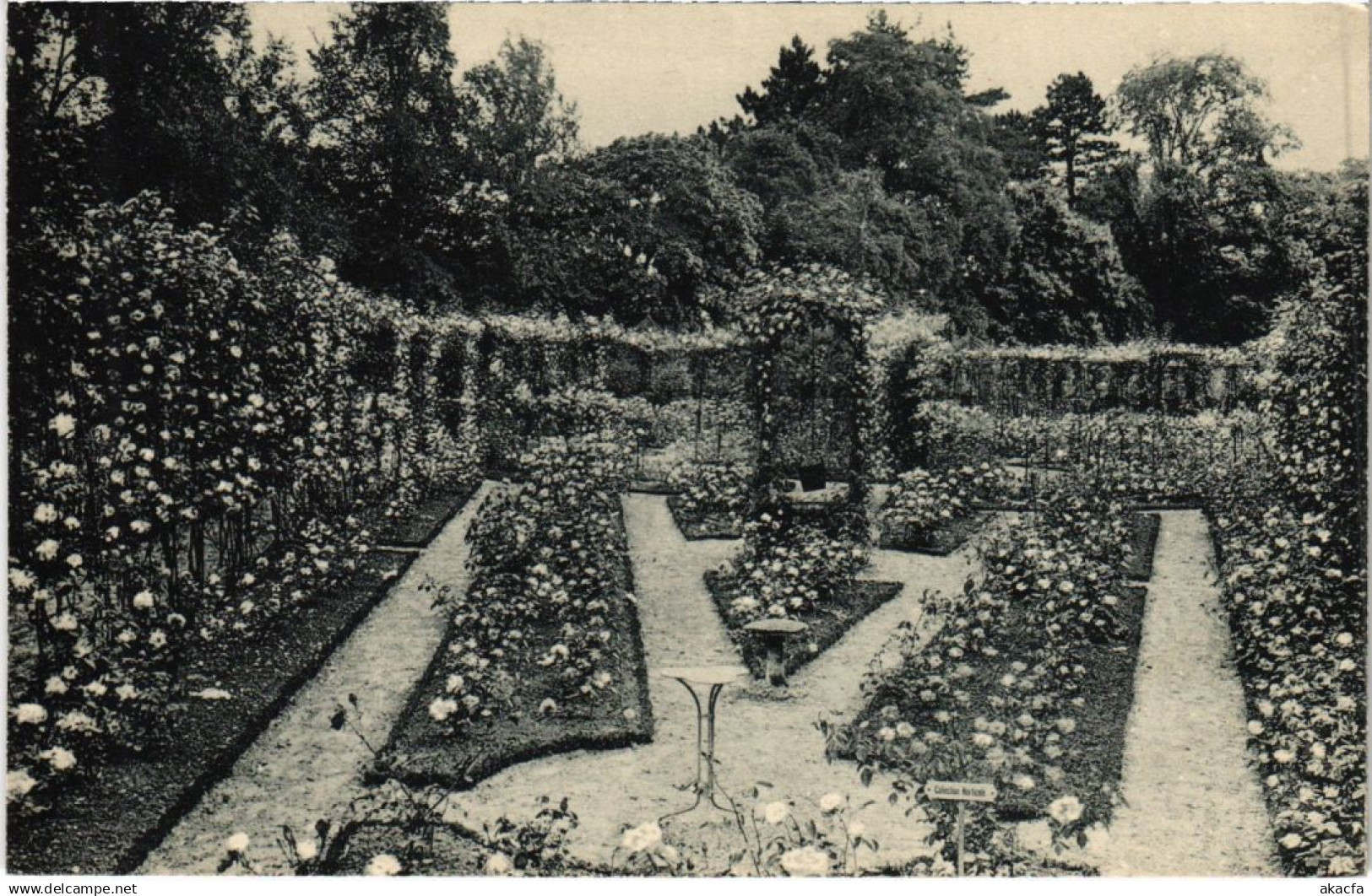 CPA AK L'Hay-les-Roses Varietes de Roses obtenues FRANCE (1282633)