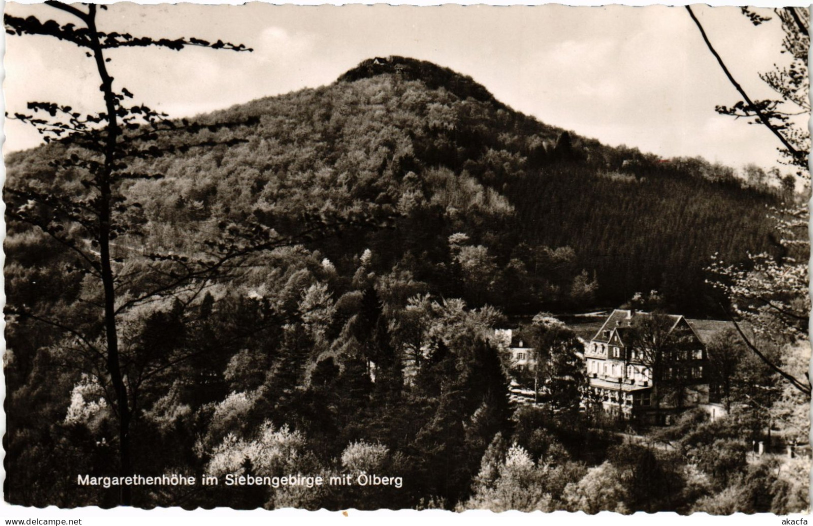 CPA AK Petersberg Margarethenhohe (1491798)