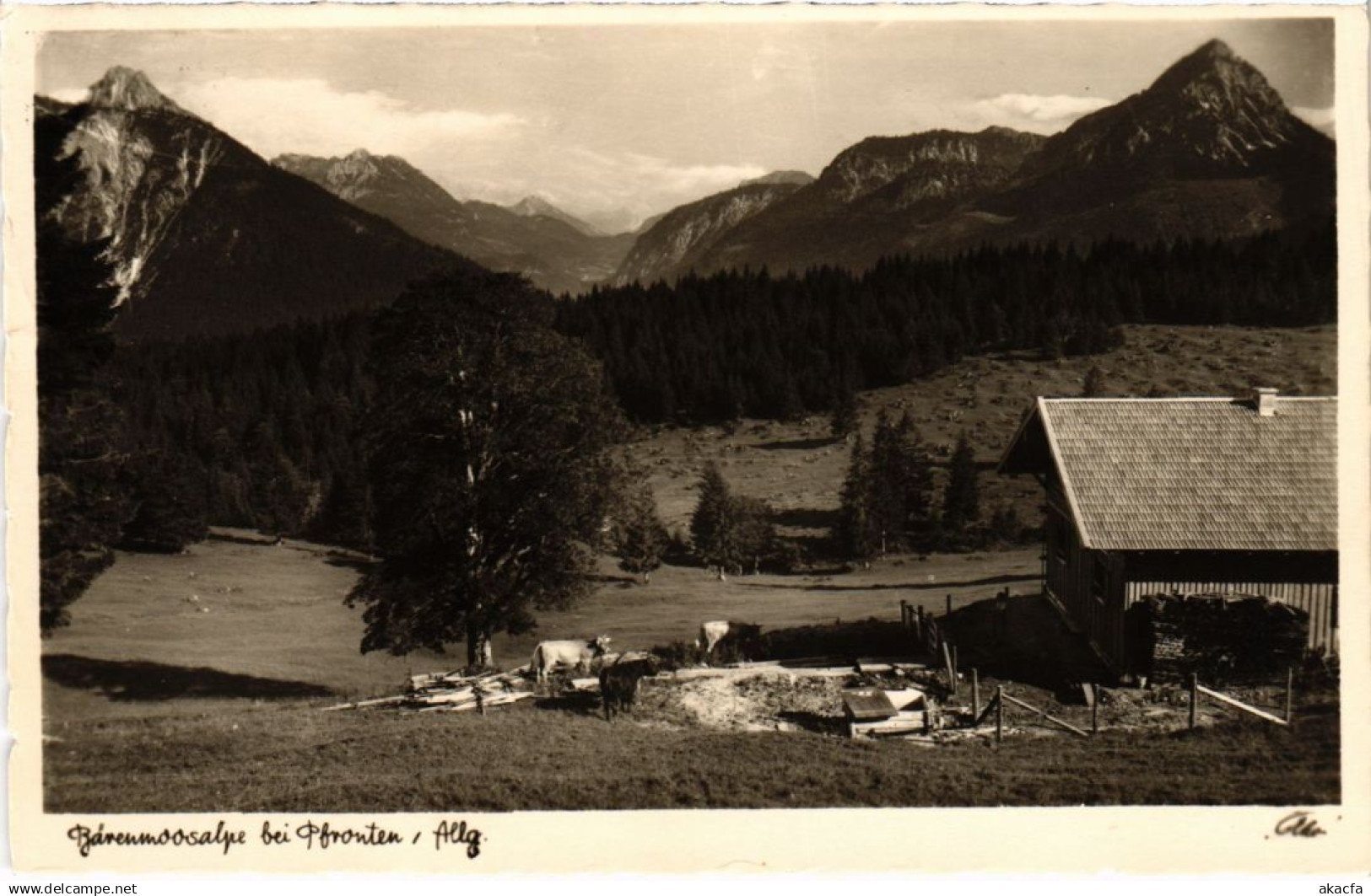 CPA AK PFRONTEN Alps at Pfronten GERMANY (1296504)