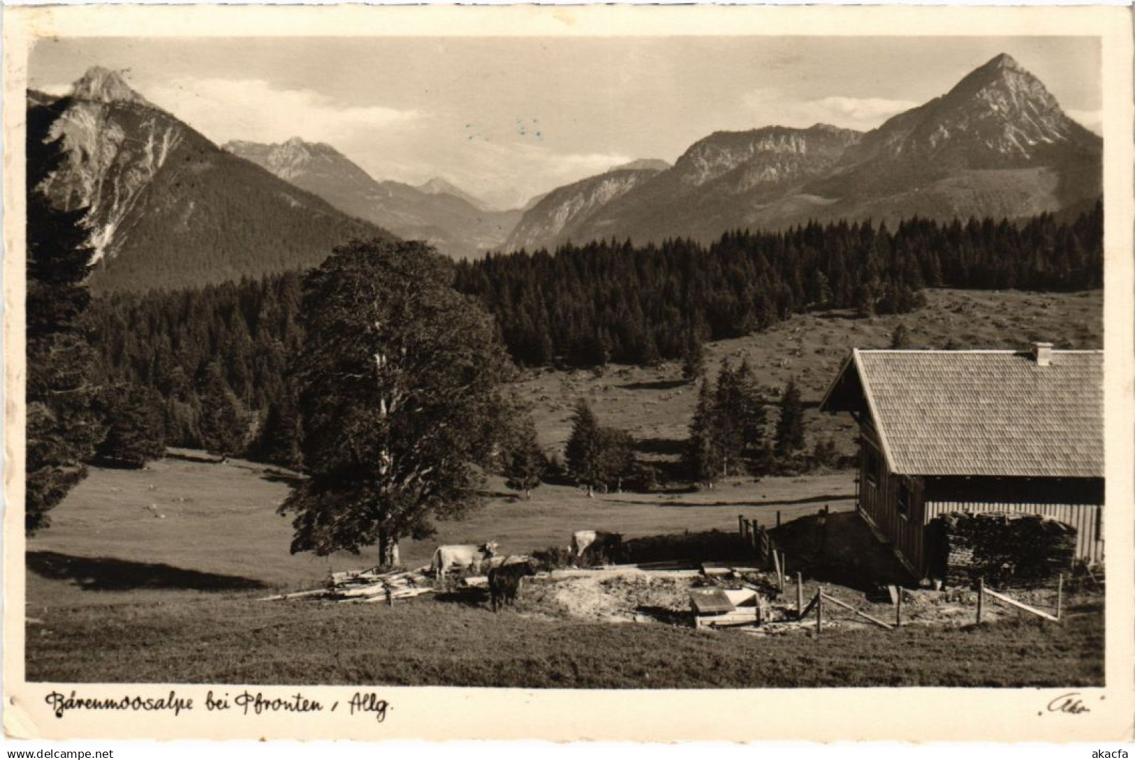 CPA AK PFRONTEN Alps at Pfronten GERMANY (1296505)